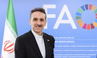 دیپلماسی ایران در قلب نهاد جهانی غذا/ کیانی‌راد: روابط با فائو به‌رغم فشارها رو به گسترش است